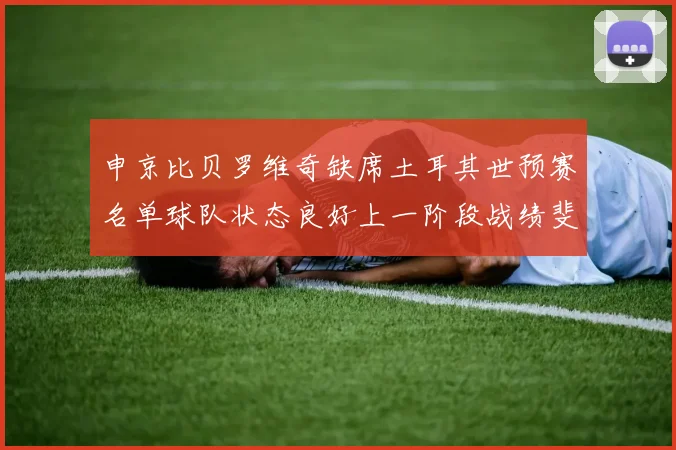 申京比贝罗维奇缺席土耳其世预赛名单球队状态良好上一阶段战绩斐然