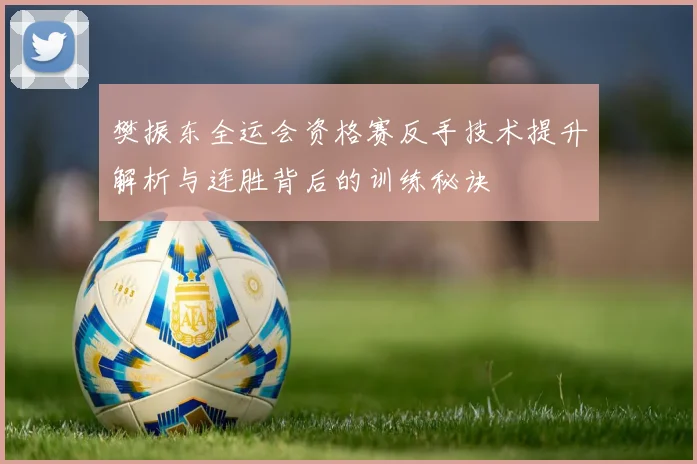 樊振东全运会资格赛反手技术提升解析与连胜背后的训练秘诀