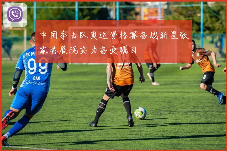 中国拳击队奥运资格赛备战新星张家港展现实力备受瞩目